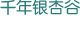 千年銀杏谷